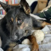 processed/7b8cf89f-d88e-45cf-b46f-e1c2980e467f/facility/b04becaf-8034-4dbb-86f1-2fd1422ff085