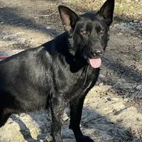 processed/7b8cf89f-d88e-45cf-b46f-e1c2980e467f/facility/b2b0f620-7a8b-4fb7-86d2-83364c104134