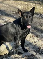 processed/7b8cf89f-d88e-45cf-b46f-e1c2980e467f/facility/b2b0f620-7a8b-4fb7-86d2-83364c104134