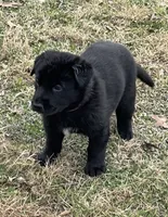 processed/7b8cf89f-d88e-45cf-b46f-e1c2980e467f/listing/23260342-2e7f-4340-a5e3-5437799b7e93/3f119d82-0c1e-4b2d-8649-39d7930b7d5c