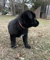 processed/7b8cf89f-d88e-45cf-b46f-e1c2980e467f/listing/23260342-2e7f-4340-a5e3-5437799b7e93/b20305ed-32ea-4145-ba77-0d646e3bf0cd