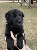 processed/7b8cf89f-d88e-45cf-b46f-e1c2980e467f/listing/23260342-2e7f-4340-a5e3-5437799b7e93/d4b124f6-e41d-4e21-915f-d4d77ed2725a