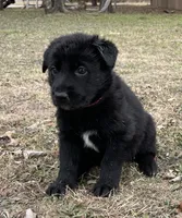 processed/7b8cf89f-d88e-45cf-b46f-e1c2980e467f/listing/23260342-2e7f-4340-a5e3-5437799b7e93/e37c276a-19bd-4185-b9a1-ed37168eb10b