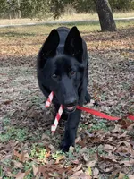 processed/7b8cf89f-d88e-45cf-b46f-e1c2980e467f/listing/4a690e0c-3ce7-4e5a-8e13-a7e23854048f/2a909796-8fbb-4bf8-b927-2046fd49f99e