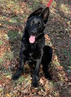 processed/7b8cf89f-d88e-45cf-b46f-e1c2980e467f/listing/4a690e0c-3ce7-4e5a-8e13-a7e23854048f/b3f30807-d333-47b7-8d6f-c9bda8e96af2