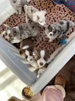 processed/7b92b8e8-1ce2-4238-b507-1eade8c3fc2f/facility/5ea049ba-c9c3-4af6-9820-9d60c83c79c2