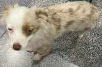 processed/7b92b8e8-1ce2-4238-b507-1eade8c3fc2f/facility/5ffb6cca-bbff-4f1f-a7d7-15f9722eb4bb