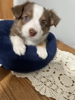 processed/7b92b8e8-1ce2-4238-b507-1eade8c3fc2f/facility/6cd364cd-f8e1-43d0-b44b-e7addd5f90a6