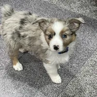 processed/7b92b8e8-1ce2-4238-b507-1eade8c3fc2f/facility/b1ba7b7f-fe12-44b1-a5aa-99209ad8b125