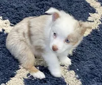 processed/7b92b8e8-1ce2-4238-b507-1eade8c3fc2f/facility/bb900c29-99d2-493b-b516-cd648d3056f1