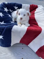 processed/7b92b8e8-1ce2-4238-b507-1eade8c3fc2f/facility/c8e884cb-4098-4316-826b-a2aa7c5b2745