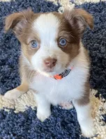 processed/7b92b8e8-1ce2-4238-b507-1eade8c3fc2f/facility/d1aa7a4f-37ba-44b8-9918-17a582445df0