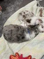 processed/7b92b8e8-1ce2-4238-b507-1eade8c3fc2f/facility/e6383a81-560e-4f2e-8a1e-1517f367757c