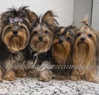 processed/7b95f503-1551-4c94-b676-a4f52afde470/facility/62294aae-435f-4426-99aa-eb7d4b4f7dba