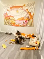 processed/7b95f503-1551-4c94-b676-a4f52afde470/facility/c66b4c16-0f29-44bb-a0ae-19d6cb56d994