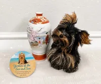 Faith (XS Micro 2.8 - 3lbs), a female Yorkshire Terrier for sale in Frisco, TX – 1 of 5