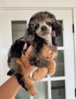 processed/7b9a6f5e-9667-4401-a7c8-15785e609514/listing/173319a3-cd57-41b4-8715-13d3c175fa8c/3f0ce9dc-17b7-4e0b-a255-91eb1cdfb02e