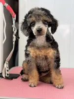 processed/7b9a6f5e-9667-4401-a7c8-15785e609514/listing/173319a3-cd57-41b4-8715-13d3c175fa8c/7a1a31ac-5bbb-47ab-9efe-575b49bfdf32