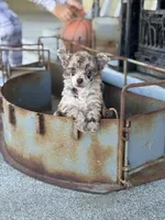 processed/7b9a6f5e-9667-4401-a7c8-15785e609514/listing/8be27cff-0456-49c5-ba9a-814a82862fbc/74145de2-4cb1-4cee-afb7-663b10be0ff2