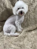 processed/7b9ad5d2-2005-4857-8f06-1975007f8ebe/listing/196377ed-b167-4e6b-82e1-53c2e6f5a62e/a0135c18-f43b-4ce6-89a8-8495c4009289