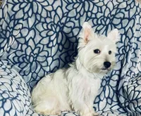 processed/7b9ad5d2-2005-4857-8f06-1975007f8ebe/listing/29b09b9c-57c5-47ca-92a7-0fc4bee1b29c/28de946d-5d70-489c-ac17-2069d8c3e9ad