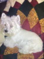 processed/7b9ad5d2-2005-4857-8f06-1975007f8ebe/listing/29b09b9c-57c5-47ca-92a7-0fc4bee1b29c/aaca8dcb-c9af-4a97-a7df-40919f5f02c1