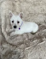 processed/7b9ad5d2-2005-4857-8f06-1975007f8ebe/listing/29b09b9c-57c5-47ca-92a7-0fc4bee1b29c/ded7ab88-ac99-472c-88a3-6f4e52014c8b