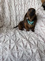 processed/7b9ad5d2-2005-4857-8f06-1975007f8ebe/listing/9b1a3b09-b959-4dfc-9727-2f1bd53c0116/7f64617c-d4c4-4fd1-8da9-b3a07ae1fa96