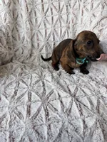 processed/7b9ad5d2-2005-4857-8f06-1975007f8ebe/listing/9b1a3b09-b959-4dfc-9727-2f1bd53c0116/c24896bf-b697-4d00-9789-3a3f939f5b23