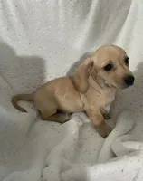 processed/7b9ad5d2-2005-4857-8f06-1975007f8ebe/listing/a820f94c-1329-4e72-9378-4dcc014dd1d3/5002bda5-da20-43bb-99cf-0bacf042e33c