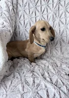 processed/7b9ad5d2-2005-4857-8f06-1975007f8ebe/listing/a820f94c-1329-4e72-9378-4dcc014dd1d3/b31b115d-34fe-4848-bc55-f23c362de2a3