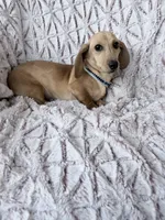 processed/7b9ad5d2-2005-4857-8f06-1975007f8ebe/listing/a820f94c-1329-4e72-9378-4dcc014dd1d3/c78f37e1-1ece-4d5a-a859-c4eba784a55e