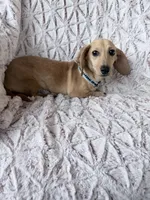 processed/7b9ad5d2-2005-4857-8f06-1975007f8ebe/listing/a820f94c-1329-4e72-9378-4dcc014dd1d3/c86aec18-bd84-4745-90cf-9b8852b7049a