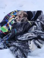 processed/7b9ae625-0816-46ff-9557-0a8273bf2af4/listing/b1f11274-e8d3-4e04-bde6-2898619fbdec/0261c218-36a6-48c7-abeb-7b72fb8032be