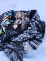 processed/7b9ae625-0816-46ff-9557-0a8273bf2af4/listing/b1f11274-e8d3-4e04-bde6-2898619fbdec/5c072408-ce66-4aa3-8528-8e1c77af13d3