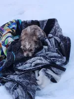 processed/7b9ae625-0816-46ff-9557-0a8273bf2af4/listing/b1f11274-e8d3-4e04-bde6-2898619fbdec/9487d634-5e6d-4c7e-8d87-de6cf0c6f568