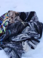 processed/7b9ae625-0816-46ff-9557-0a8273bf2af4/listing/b1f11274-e8d3-4e04-bde6-2898619fbdec/ad70dc1c-788a-4e4a-a838-dd52b253c4bc