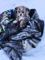 processed/7b9ae625-0816-46ff-9557-0a8273bf2af4/listing/b1f11274-e8d3-4e04-bde6-2898619fbdec/ce8a1dd7-6204-455e-96ea-735c92d3be97