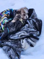 processed/7b9ae625-0816-46ff-9557-0a8273bf2af4/listing/b1f11274-e8d3-4e04-bde6-2898619fbdec/f871cd21-b771-425c-88e4-536e6f1fee20