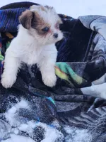 processed/7b9ae625-0816-46ff-9557-0a8273bf2af4/listing/d3853ead-7881-4abd-9407-bc55ea3fec51/09918cce-44ac-41f6-a0d1-c184727a0a3b