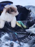 processed/7b9ae625-0816-46ff-9557-0a8273bf2af4/listing/d3853ead-7881-4abd-9407-bc55ea3fec51/12f88fb3-4e39-4030-b630-cd34ecf41737