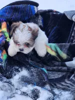 processed/7b9ae625-0816-46ff-9557-0a8273bf2af4/listing/d3853ead-7881-4abd-9407-bc55ea3fec51/a900ca3b-0805-4fa3-977f-5920f66222ee