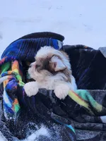 processed/7b9ae625-0816-46ff-9557-0a8273bf2af4/listing/d3853ead-7881-4abd-9407-bc55ea3fec51/cc0916fc-a216-4557-9ccf-b98066145b19