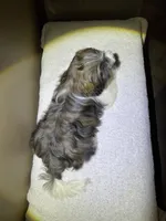 processed/7ba08ce4-f1f6-42f0-a346-c3378bb4f1dc/listing/073c053e-761e-41dd-9971-e13c38910393/a1bfb55b-4ba7-4d75-beff-de3a3a143779