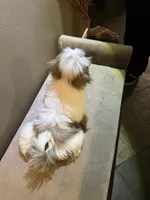 processed/7ba08ce4-f1f6-42f0-a346-c3378bb4f1dc/listing/c41a3d21-7e26-4235-b003-aa5215cc76f8/1e21b3e5-522f-4f7b-b938-bcfae3f45758