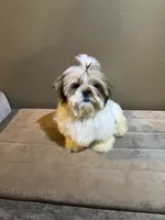 processed/7ba08ce4-f1f6-42f0-a346-c3378bb4f1dc/listing/c41a3d21-7e26-4235-b003-aa5215cc76f8/5e63373b-cdc5-4f95-9b7e-0b5ef50e2c48