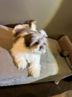 processed/7ba08ce4-f1f6-42f0-a346-c3378bb4f1dc/listing/c41a3d21-7e26-4235-b003-aa5215cc76f8/a53e74f4-0724-4880-9ecf-5f5b648cf06b