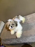 processed/7ba08ce4-f1f6-42f0-a346-c3378bb4f1dc/listing/c41a3d21-7e26-4235-b003-aa5215cc76f8/e06901f8-e8db-4dec-8230-be4b644d4858