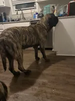 processed/7ba84649-e845-45de-8d2f-157d2c409f38/listing/2b4f92af-6f6f-462c-b4b8-1691ffd4eb30/3c4ed45c-4013-4caf-9755-f71ec3b49561