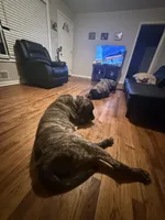 processed/7ba84649-e845-45de-8d2f-157d2c409f38/listing/2b4f92af-6f6f-462c-b4b8-1691ffd4eb30/42c2d81e-44fa-4847-96d4-5f4eb00281f8